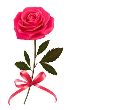 Background with rose and a bow. Vector. Stock Illustration