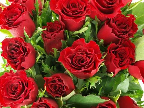 Background -  rose bouquet Stock Photos