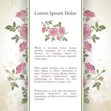 Background with rose flowers. Illustrazione stock