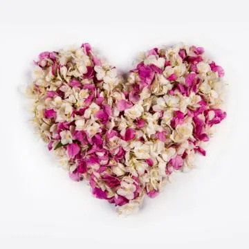 Background of rose hips. Flower texture from a rose. Heart of wild flowers. Stock Photos