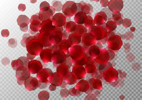 Background with rose petals Stock Illustration