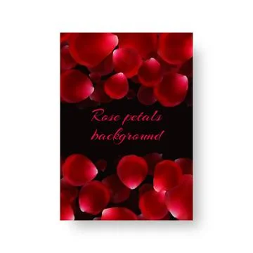 Background with rose petals Stock Illustration
