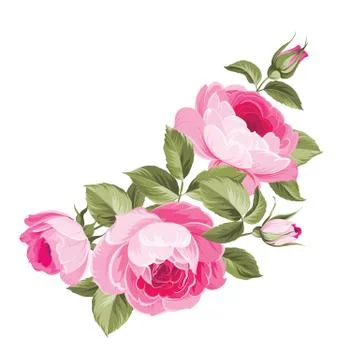 Background with roses. Stock Illustration