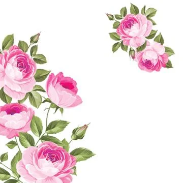 Background with roses. Stock Illustration
