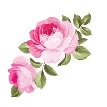 Background with roses. Stock Illustration