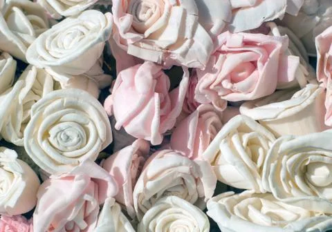 Background of roses Stock Photos