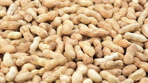 Background of rotation of ground peanuts in the shell. slow motion. close up. Stock Footage 224692051