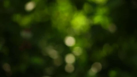 Background with round blurred bokeh. Abstract background Stock Footage 77751549