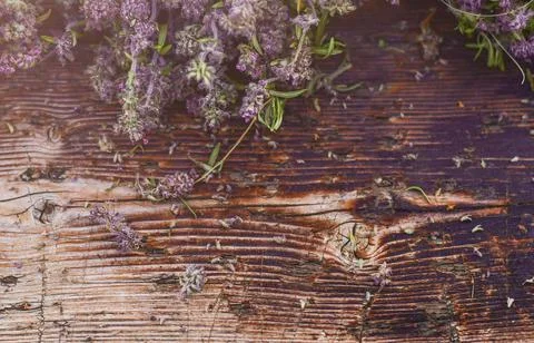 Background rustic. Thyme on a wooden surface. Stock Photos