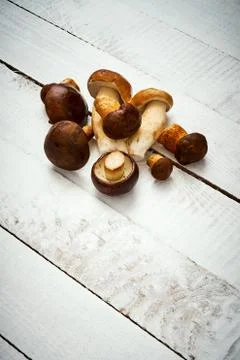 Background with rustic white boards and fresh brown mushrooms Stock Photos
