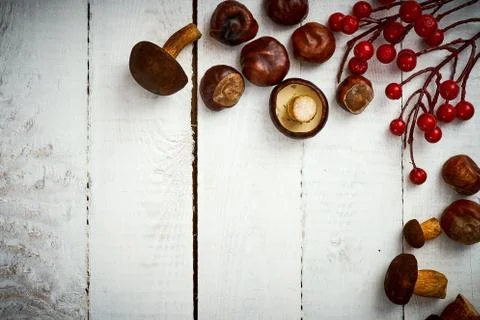 Background with rustic white boards, fresh brown mushrooms and chestnuts Stock Photos