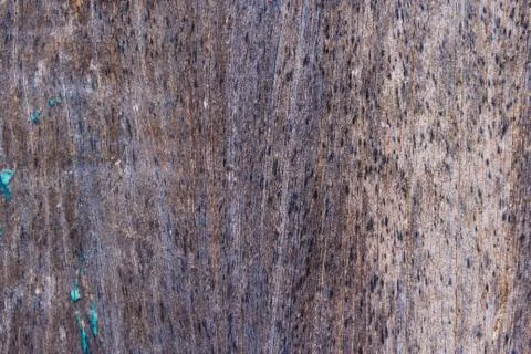 Background with rustica wood texture aged by time Stock Photos