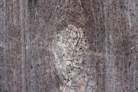 Background with rustica wood texture aged by time Stock Photos