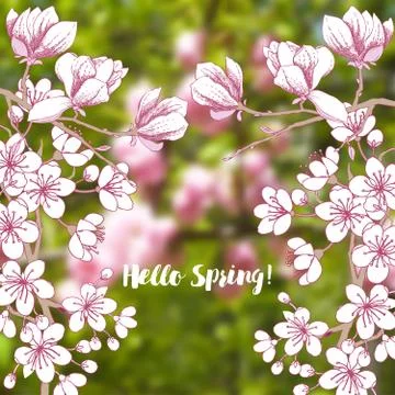 Background with sakura and magnolia Stock Illustration