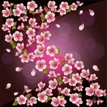 Background with sakura - japanese cherry tree, vector Stock Illustration