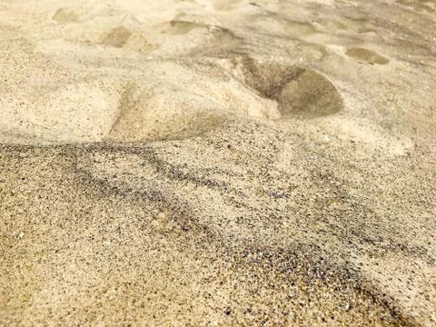 Background - sand on the beach. Stock Photos