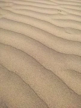 Background sand dunes, wind pattern on sand Stock Photos