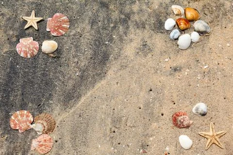 Background of sand shells and starfish Foto stock