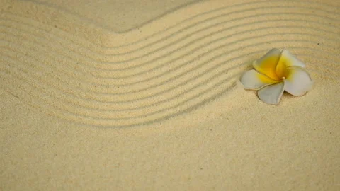 Background with sand spa concept. selective focus. Stock Footage 225441136