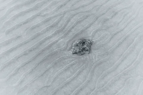 Background from the sandy bottom of the sea in ultimate gray, the color of 20 Stock Photos