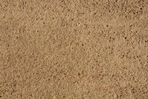 The background of the sandy surface is close-up. The texture of the sand on the Stock Photos