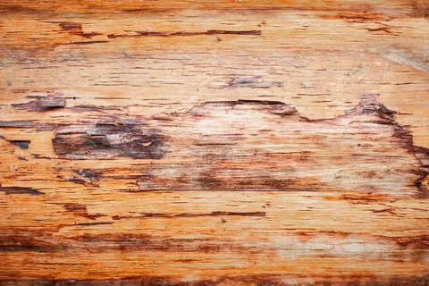 Background sawn cracked tree in warm tones of brown Stock Photos