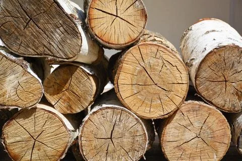 A background of sawn trees.	 Stock Photos