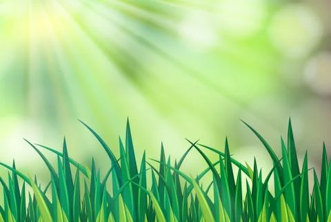 Background scene with green grass Stock Illustration