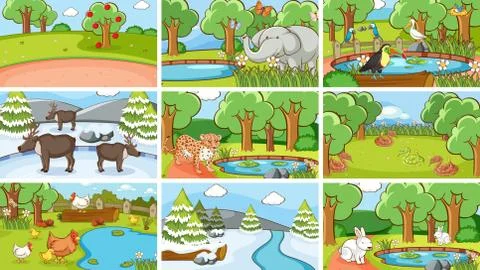 Background scenes of animals in the wild Illustrazione stock