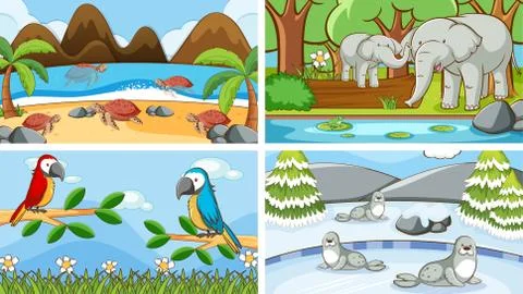 Background scenes of animals in the wild 스톡 일러스트