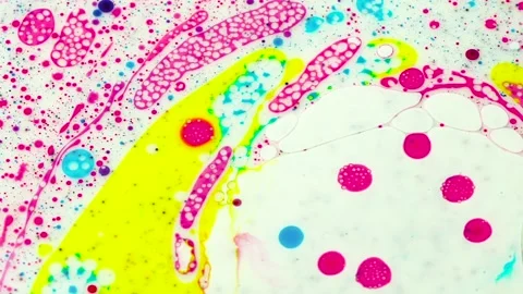 Background of scientific image Cells and blood cells seen from a simulated mi Video stock 170120940