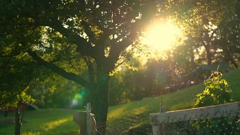 Background of a scout camp with tent and camp life, lens flare, nature Stock Footage 123413656