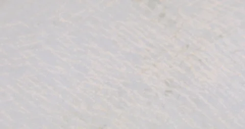 Background for scrapbooking 스톡 동영상 100402178