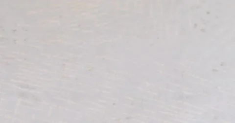 Background for scrapbooking 스톡 동영상 130509417