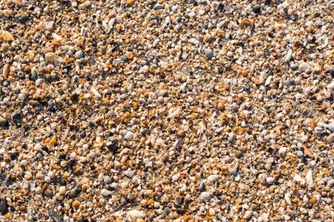 Background the sea coast of the small shells Stockfoto's