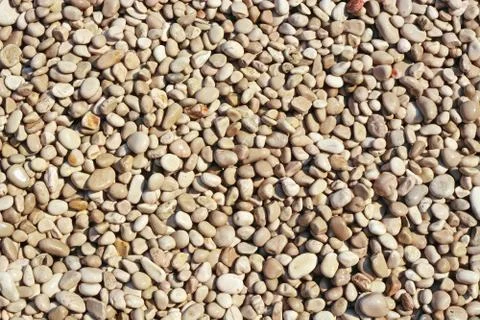 Background of sea pebbles. Stock Photos