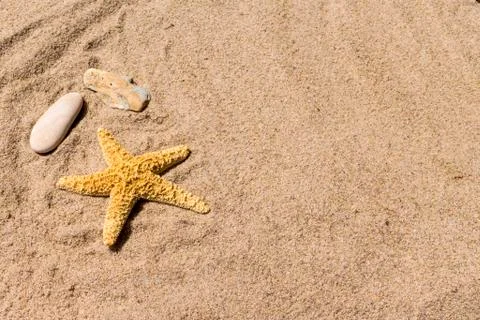 Background: sea star and shells on the sand of the sea Stock Photos