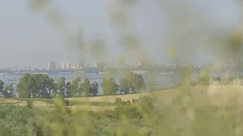 Background sea through the branches Stock Footage 71650361