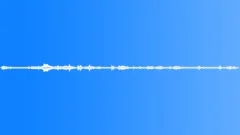 Background seagulls voices car trafic Sound Effect