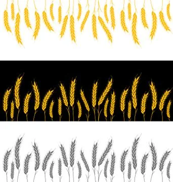 Background seamless pattern. vector illustration field with ears Stockillustratie