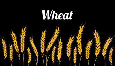 Background seamless pattern. vector illustration field with ears Stock Illustration