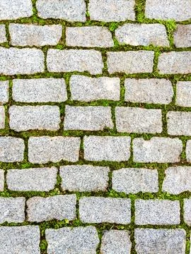 Background seamless texture of green grass sprouted between bricks of Stock Photos