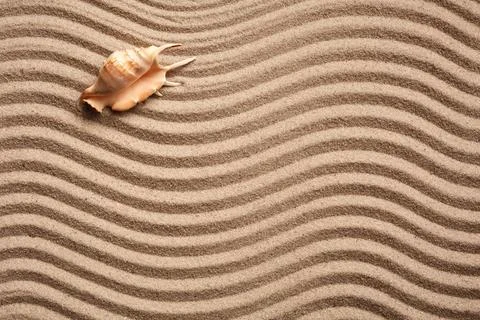 Background of seashell on sand. Wavy sand texture with place for text. Banner 写真素材