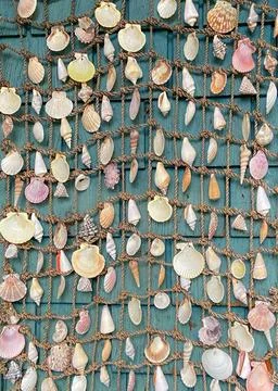 Background with seashells attached to the net. Wall pattern with seashells... Stock Photos