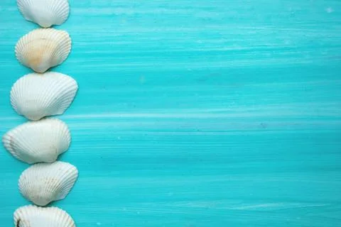 Background with seashells on a blue background Stock Photos