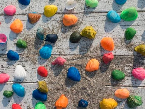 Background of seashells on a white table with sand Stock Photos