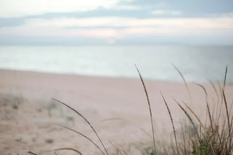 Background of a secluded sandy beach in pastel shades. Stock-Fotos