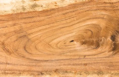 Background of section wood cutting surface Stock Photos