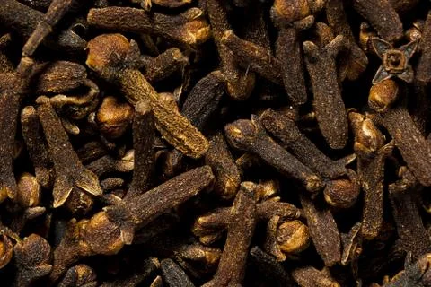 Background - seed cloves Stock Photos