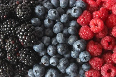 Background from a set of different berries. Stock Photos
